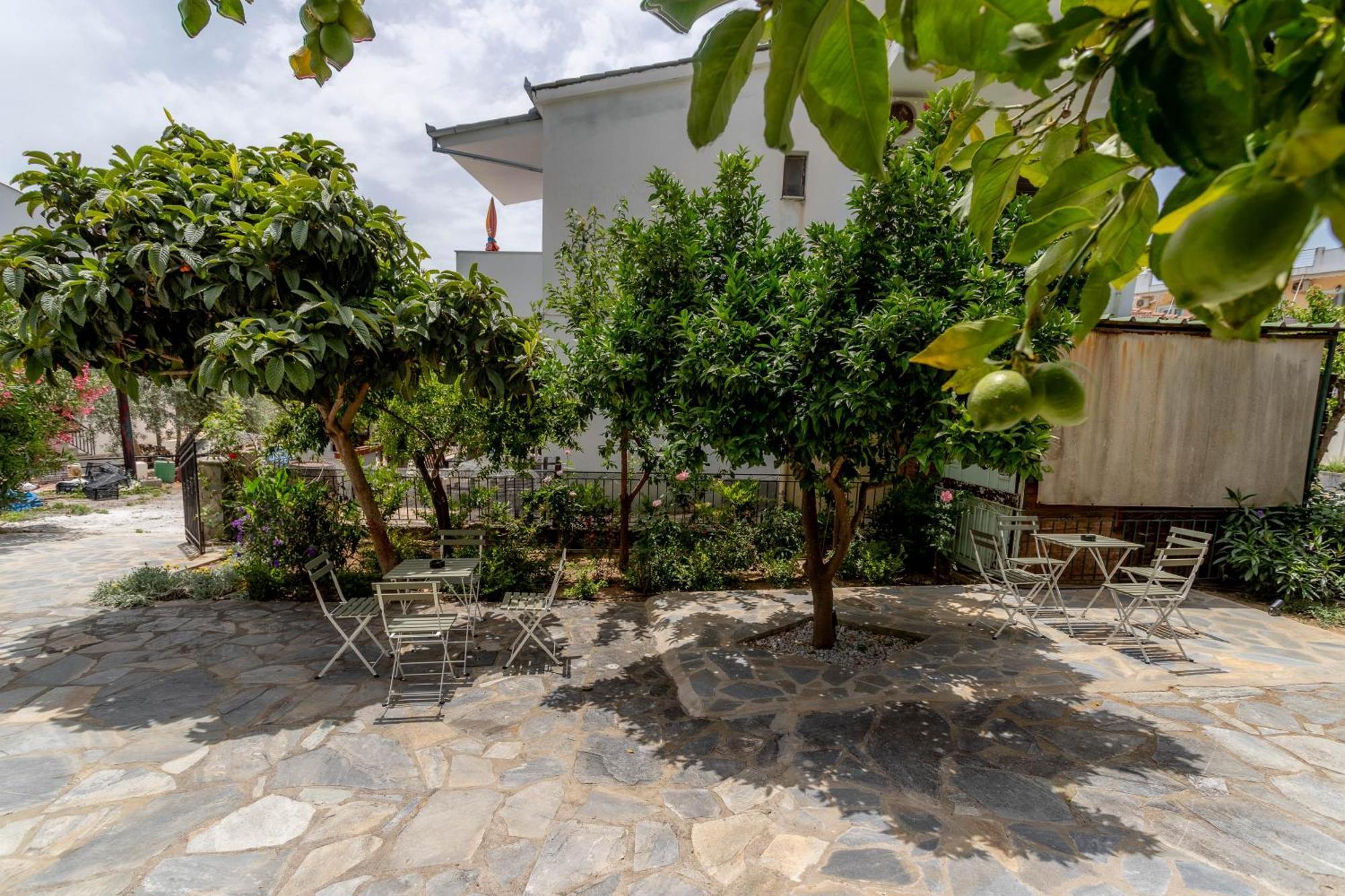 Apartmán Pteleo