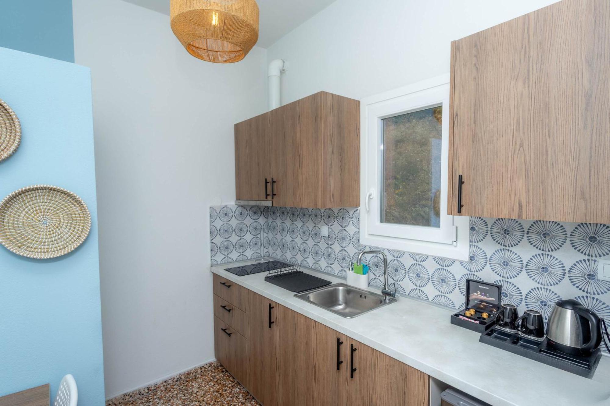 Apartment Pteleo *